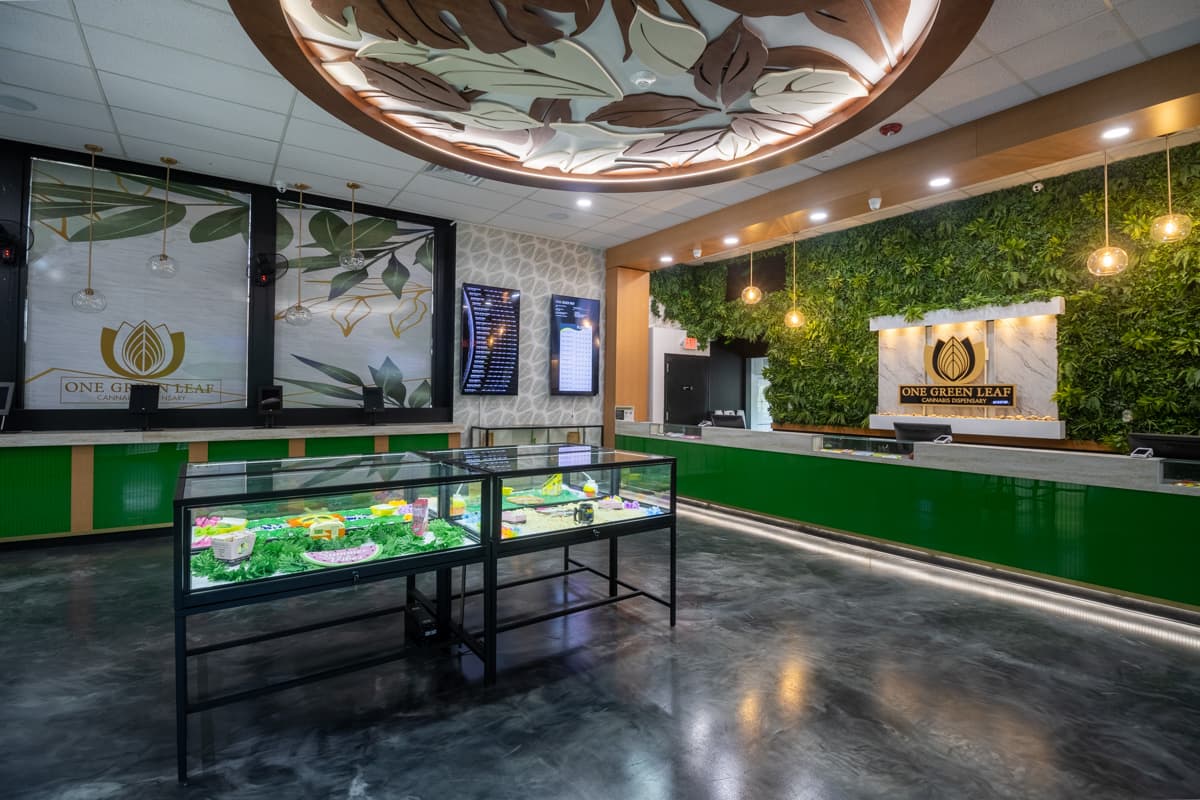 The sales floor inside One Green Leaf: green lacquer counters, glass cases and the carved leaf ceiling medallion, Gibbsboro NJ